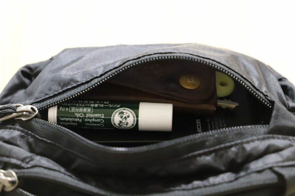 patagonia mini hip pack 前面ポケット 収納例