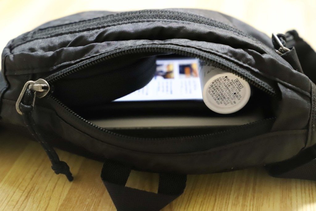 patagonia mini hip pack メインポケット 収納例
